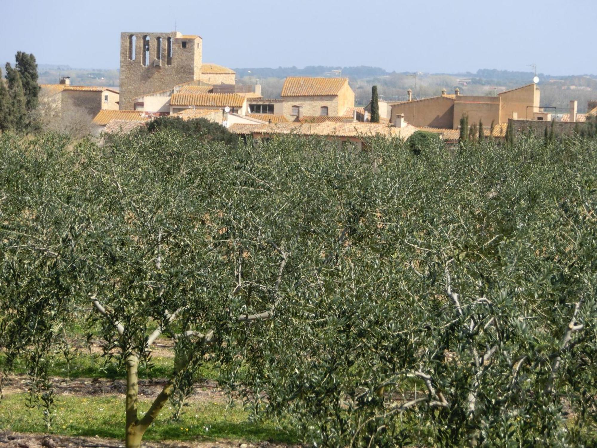 Can Barrull-Costa Brava-Emporda Сан-Фелью-де-Боада Экстерьер фото